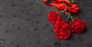 Victory Day Parish Picnic - 9-may-holiday-concept-carnation-flowers-with-red-ribbon-symbol-victory-day-1945_609048-2825