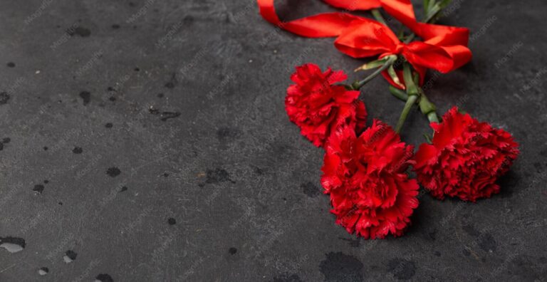 Victory Day Parish Picnic - 9-may-holiday-concept-carnation-flowers-with-red-ribbon-symbol-victory-day-1945_609048-2825